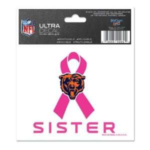  CHICAGO BEARS 3X4 ULTRA DECAL WINDOW CLING: Sports 