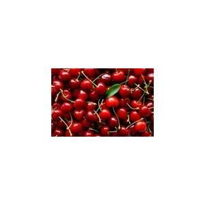 Cherries Cherries Stemless Topping Crush Grocery & Gourmet Food