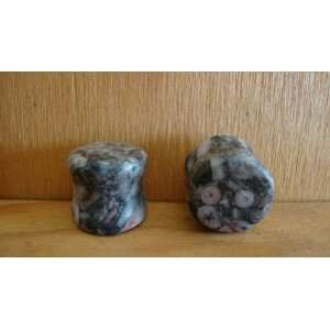  00 Gauge Chrondite Ocean Fossil Stone Plugs [1 Pair 