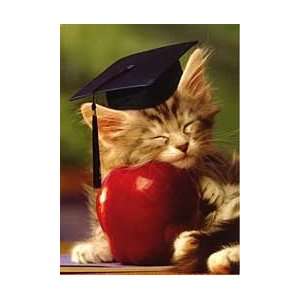  Kitten and Apple Graduation Card: Everything Else