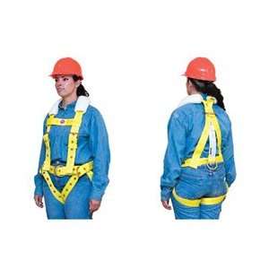  Lewis Manufacturing 418 18 1103 Fall Arrest Harnesses 