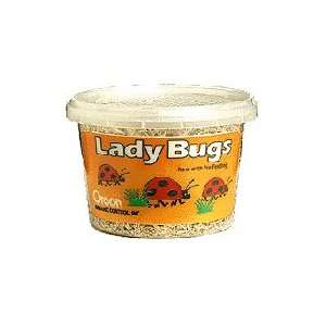  Ladybugs 4500   Half Pint: Home & Kitchen