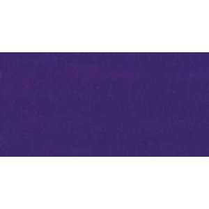  Jacquard Acid Dyes 1/2 Ounce Violet 