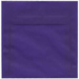   Blue / Purple Translucent Vellum (see through) Envelope   25 envelopes