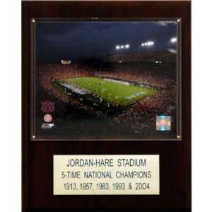  NCAA Football Jordan Hare Stadium Plaque
