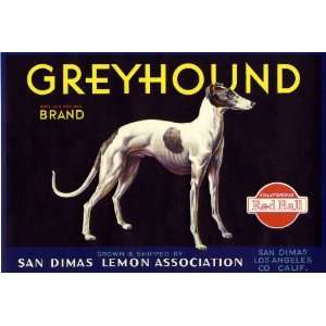  San Dimas Greyhound Dog Lemon Citrus Fruit Crate Box Label 