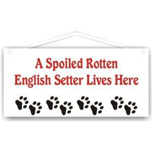 A Spoiled Rotten English Setter Lives Here Everything 