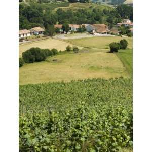  Countryside Near St. Jean Pied De Port, Basque Country 