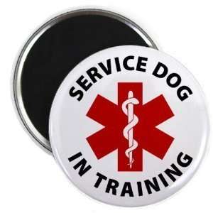  Creative Clam Red Service Dog In Training Medical Alert 2 