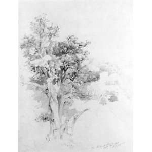   Francis Cropsey   32 x 42 inches   Oak Tree, Albano