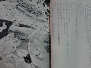 Legend of Black Fallen Hero Shindenyuuden Kakumei hen novel 16 Set 