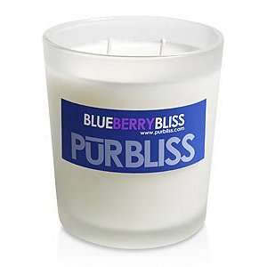  Blueberry Bliss Soy Candle   Medium Jar: Everything Else
