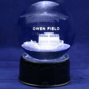    Oklahoma Sooners Football Stadium 3D Laser Globe
