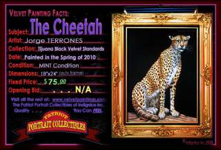 Mexican Black Velvet Painting from Tijuana: The Cheetah Hand Painted 