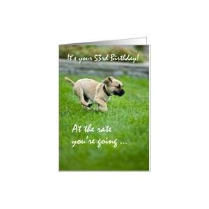 53rd Birthday, Puppy Running, Funny Card: Toys & Games