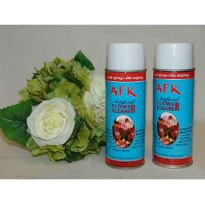  Two Artificial Silk Flower Cleaners: Home & Kitchen