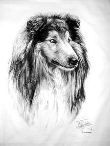 ROUGH COLLIE Dog Breed T shirt YS to ADULT 4XLG  