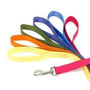  Nylon Lead Green 3/4X6 Ft: Pet Supplies