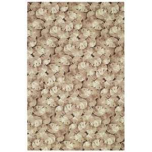   Dollars 6034 700 Natural 5 x 8 Rectangle Area Rug