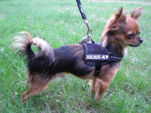Julius K9 power harness, 10 colors, LET YOUR DOG TALK  