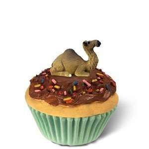  Dromedary Camel Cupcake Trinket Box