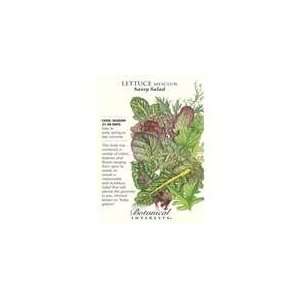   Botanical Interest   Lettuce Mesclun Sassy Salad: Patio, Lawn & Garden