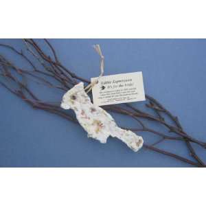 New Cast Paper Art Edible Ornament Cardinal Recycled Cotton Fiber 