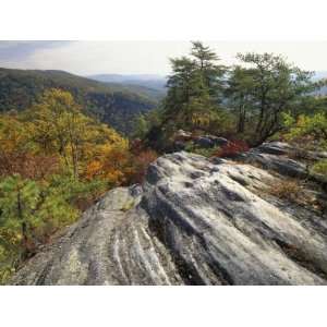 Boulder and Autumn Colors, Pine Mountain State Park, Kentucky, USA 