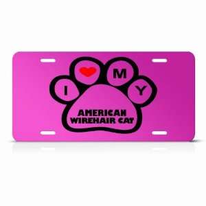  American Wirehair Cats Pink Novelty Animal Metal License 