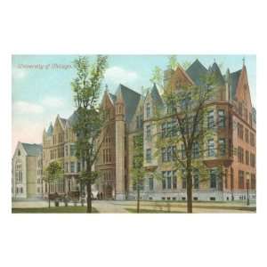  University of Chicago, Illinois Travel Premium Poster 