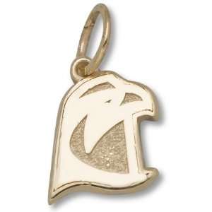  Bowling Green State Falcons 3/8 Falcon Head Charm   14KT 