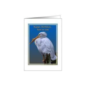  Son in laws Birthday Card with American White Pelican 