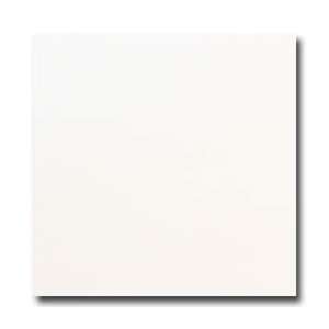  White Ceramic Tile 6 x 6: Home Improvement