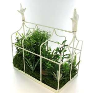   Iron Greenhouse Green House Artificial Plants White: Kitchen & Dining