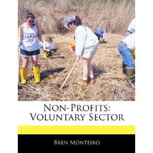  Non Profits Voluntary Sector (9781170065198) Beatriz 