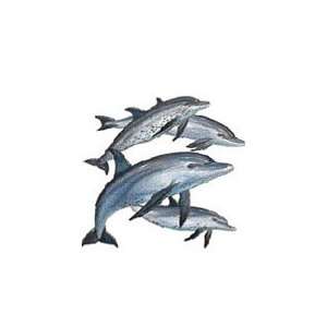  T shirts Aquatic Sea Life Dolphin 6xl 
