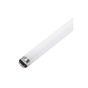   Cool White (4100K) 85 CRI T8 Fluorescent Light Bulbs
