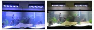Aqua Pro 60W CREE XP E LED Aquarium Reef Tank Light White/Blue Dim 