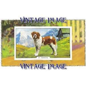   10cm) Art Greetings Card Dogs St Bernard Vintage Image: Home & Kitchen