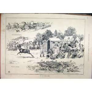   Old Epping Hunt 1888 Deer Horse Cart Water Jump Print