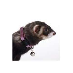   (Catalog Category Small AnimalWALKING ACCESSORIES)