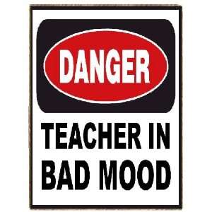  Funny Teacher in a Bad Mood Refrigerator Gift Magnet 