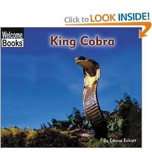 King Cobra (Welcome Books Animals of the World) [Paperback]