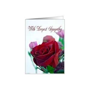  Sympathy, Classic single red rose Card Health & Personal 