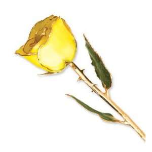  Long Stem Dipped 24K Gold Trim Yellow Genuine Rose w/ Gift 