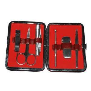   SET: Stainless Steel Eyebrow Shaping & Nail Beauty Kit in Case: Beauty