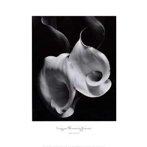  Two Callas   Poster by Imogen Cunningham (22x28)