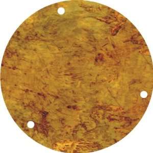  Venetian Plaster Graphical Gibson or Epiphone Switch 