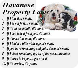HAVANESE DOG BREED PROPERTY LAWS   COMPUTER MOUSE PAD  
