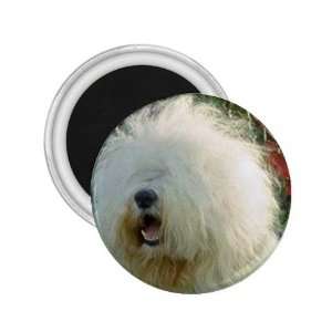  Old English Sheepdog 2.25in Magnet R0735 